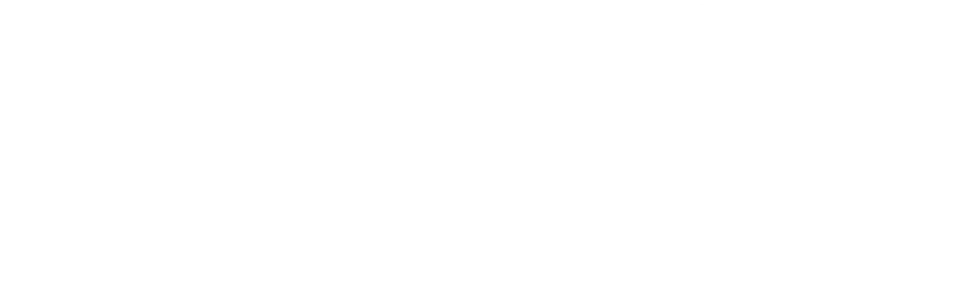 Logo bpm