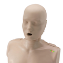 Torse de Secourisme Adulte - Prestan 